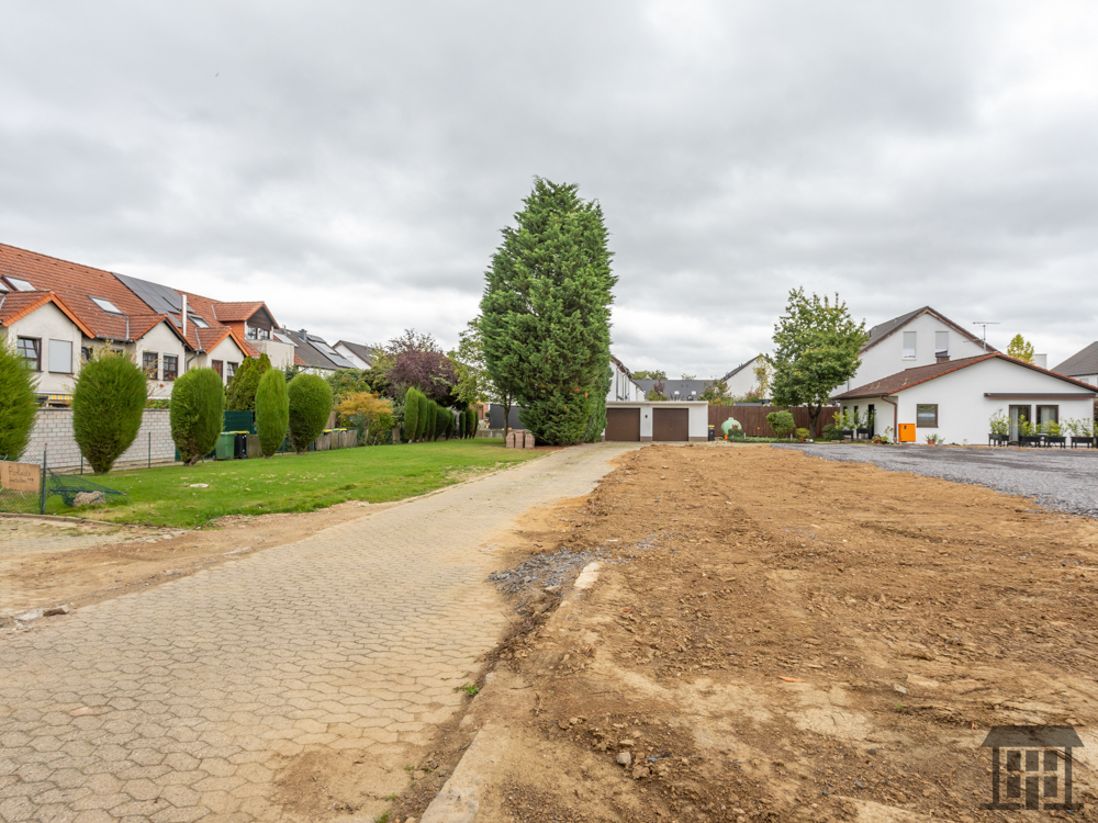 Eine Rarität in Rheinbach